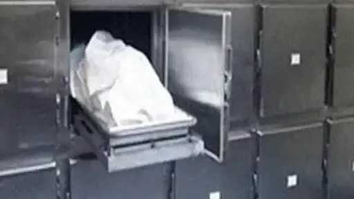 أخبار مصر