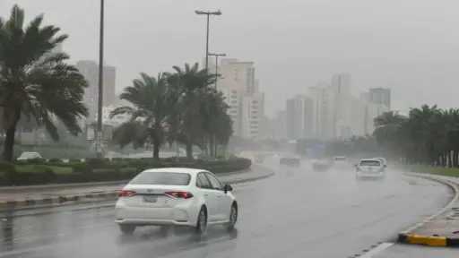 أخبار مصر