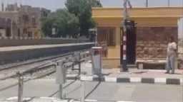 أخبار مصر