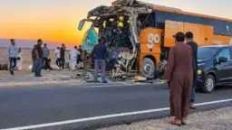 أخبار مصر