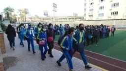 أخبار مصر