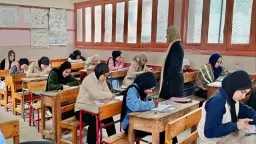 أخبار مصر