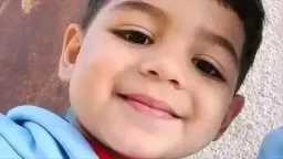 أخبار مصر